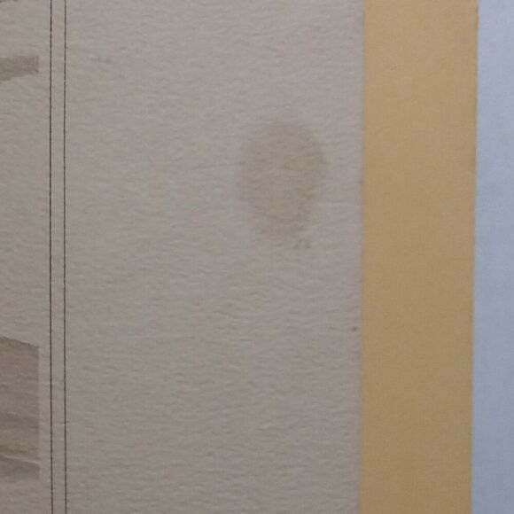 Vintage American Waterfowl Etching/Print Lynn Forehand 1of 5 Cottagecore Kitsch - Picture 8 of 8